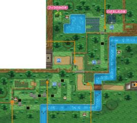 route 21 pokemon vortex|route 21 kalos.